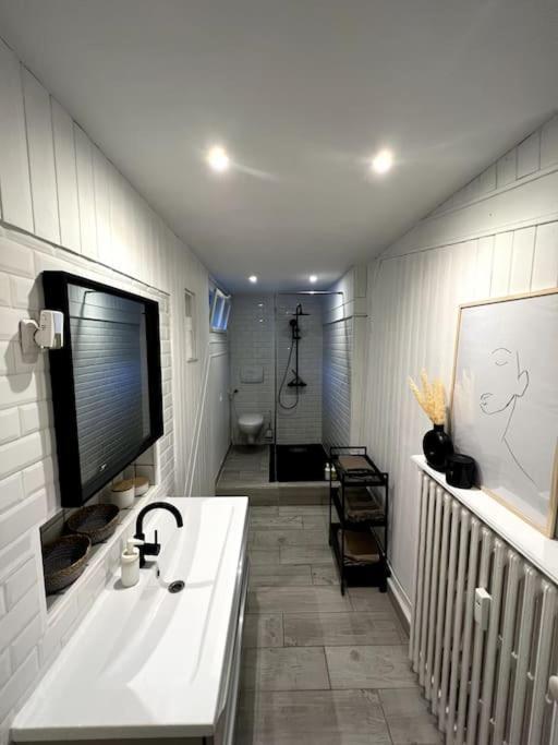 Superbe Duplex En Hyper Centre Apartamento Saint-Etienne  Exterior foto